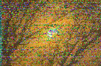 Shortwave Radiogram image