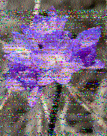 Shortwave Radiogram image