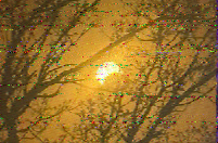 Shortwave Radiogram image