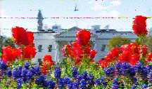 Shortwave Radiogram image