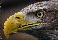 Shortwave Radiogram image