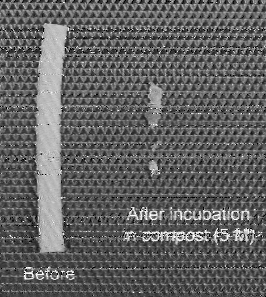 Shortwave Radiogram image