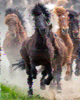 Shortwave Radiogram image