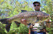 Shortwave Radiogram image