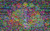 Shortwave Radiogram image