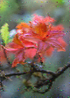 Shortwave Radiogram image