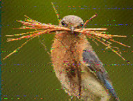 Shortwave Radiogram image