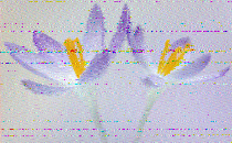 Shortwave Radiogram image