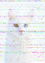 Shortwave Radiogram image