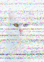 Shortwave Radiogram image