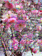 Shortwave Radiogram image