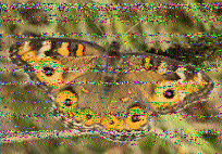 Shortwave Radiogram image