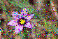 Shortwave Radiogram image