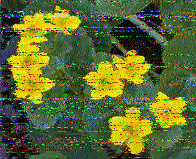 Shortwave Radiogram image
