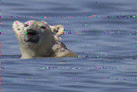 Shortwave Radiogram image