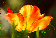 Shortwave Radiogram image