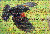 Shortwave Radiogram image