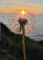 Shortwave Radiogram image