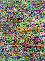 Shortwave Radiogram image