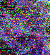 Shortwave Radiogram image
