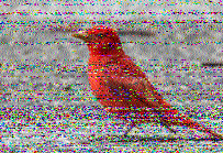 Shortwave Radiogram image