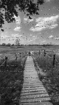 Shortwave Radiogram image