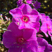 Shortwave Radiogram image