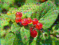 Shortwave Radiogram image