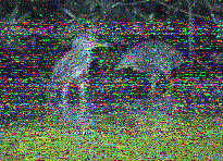 Shortwave Radiogram image