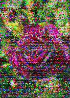 Shortwave Radiogram image