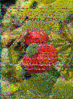 Shortwave Radiogram image