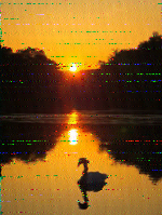 Shortwave Radiogram image