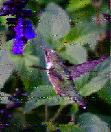 Shortwave Radiogram image