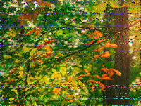 Shortwave Radiogram image