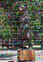 Shortwave Radiogram image
