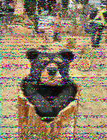 Shortwave Radiogram image