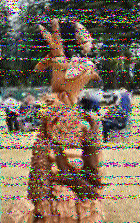 Shortwave Radiogram image