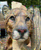 Shortwave Radiogram image