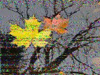 Shortwave Radiogram image