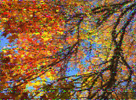 Shortwave Radiogram image