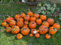 Shortwave Radiogram image