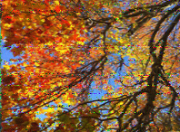 Shortwave Radiogram image