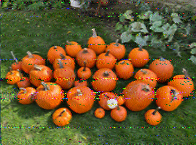 Shortwave Radiogram image