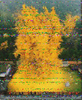 Shortwave Radiogram image