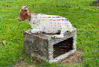 Shortwave Radiogram image