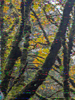 Shortwave Radiogram image
