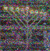 Shortwave Radiogram image