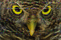 Shortwave Radiogram image