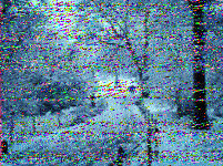 Shortwave Radiogram image