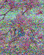 Shortwave Radiogram image